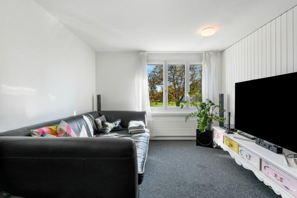 Freistehendes 1.5-Zimmer-Einfamilienhaus mit Gartenidylle und viel Charme 12