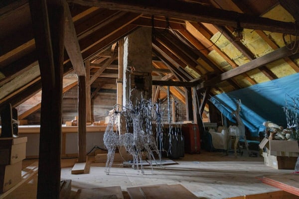 Liegenschaft mit Entwicklungspotenzial für Wohnen und Gewerbe 4