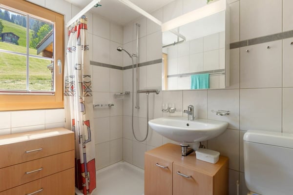 Bergidylle pur - 3.5-Zimmer-Ferienwohnung in Grüsch 11