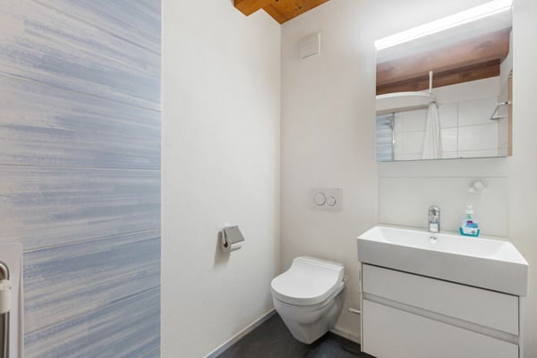 5.5-Zimmer-Reihenhaus zwischen Natur und Stadtnähe 8
