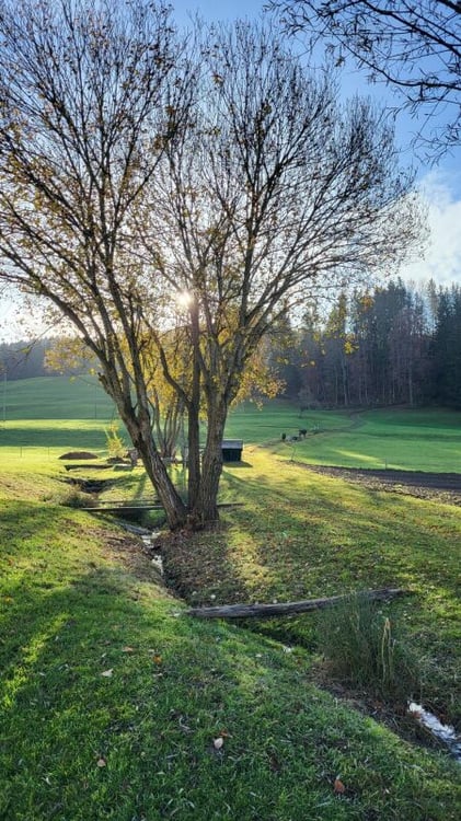 Wohnen am Haldenbach - Nachhaltiger Bau in Ganterschwil 8