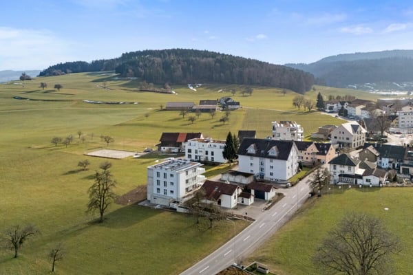 Grosszügige 4.5-Zimmer Attika mit Blick in die Natur 15