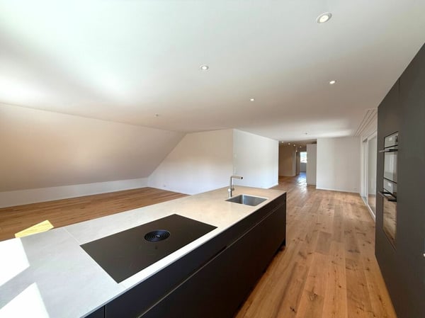 Sehr grosse Traumwohnung mit weitläufiger Terrasse und Weitblick 4