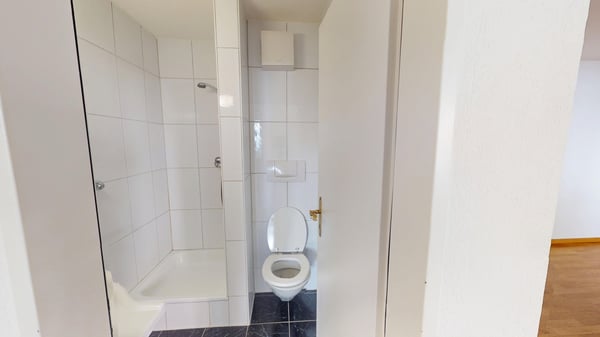 1-Zimmer-Wohnung an attraktiver Lage in Zürich-Enge - Befristet bis 30.01.2027 / Unmöbliert / MUSTERBILDER 4