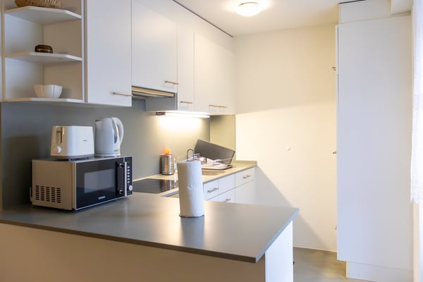 🏡Spacious 1.5-Room Furnished Apartment in Zürich Altstetten (near Zürich-Binz) 4