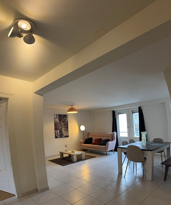 🏡Modern 1.5-Room Furnished Apartment in Zürich Altstetten (near Zürich-Binz) 17
