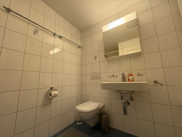 🏡Modern 1.5-Room Furnished Apartment in Zürich Altstetten (near Zürich-Binz) 21