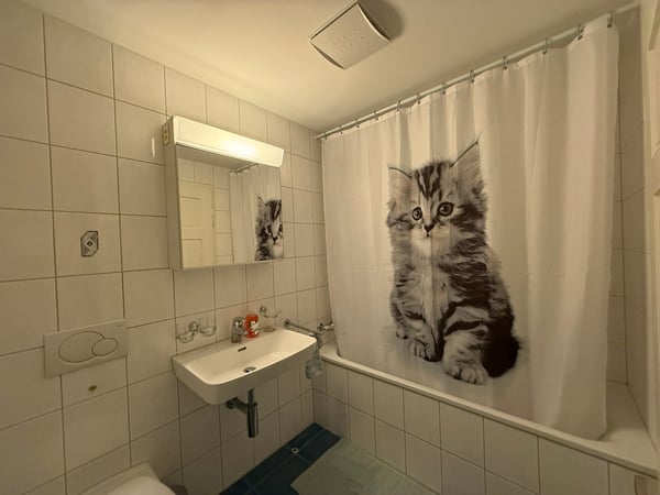 🏡Modern 1.5-Room Furnished Apartment in Zürich Altstetten (near Zürich-Binz) 22