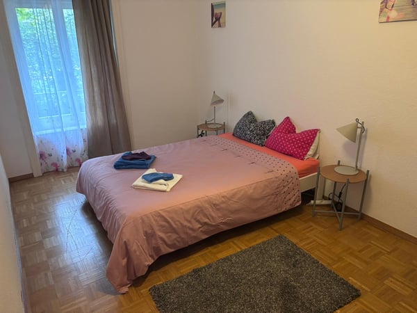 🏡Stylish 1.5-Room Furnished Apartment in Zürich Altstetten (near Zürich-Binz) 3