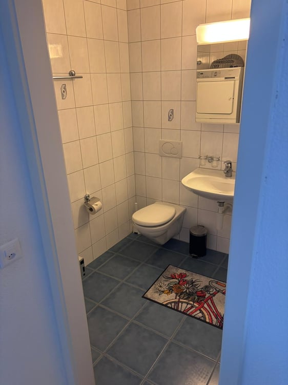 🏡Stylish 1.5-Room Furnished Apartment in Zürich Altstetten (near Zürich-Binz) 11