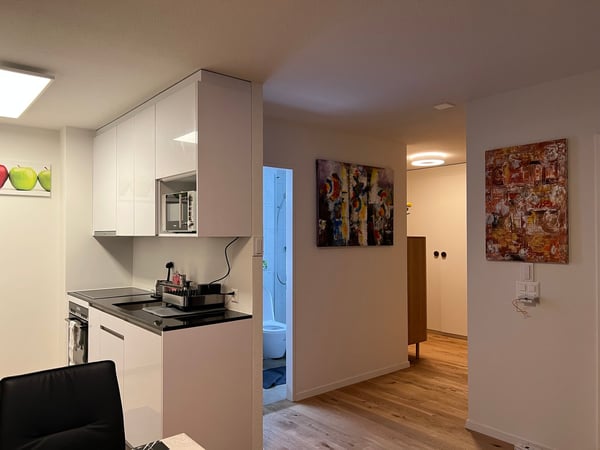 🏡 1.5 Room Premium Apartment – Seebacherstrasse 64, 8052 Zürich (Zone 10) 20