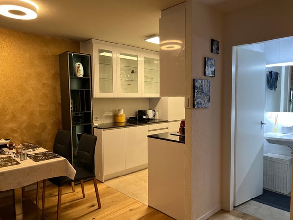 🏡 1.5 Room Premium Apartment – Seebacherstrasse 64, 8052 Zürich (Zone 10) 15