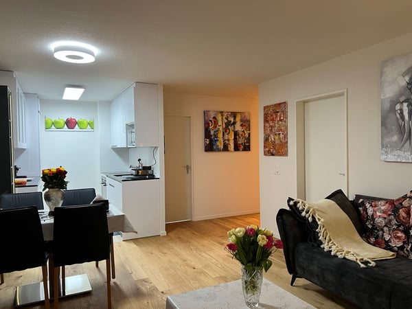 🏡 1.5 Room Premium Apartment – Seebacherstrasse 64, 8052 Zürich (Zone 10) 25