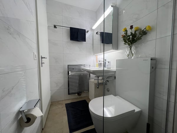 🏡 1.5 Room Premium Apartment – Seebacherstrasse 64, 8052 Zürich (Zone 10) 32