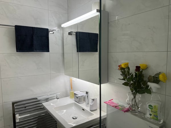 🏡 1.5 Room Premium Apartment – Seebacherstrasse 64, 8052 Zürich (Zone 10) 31