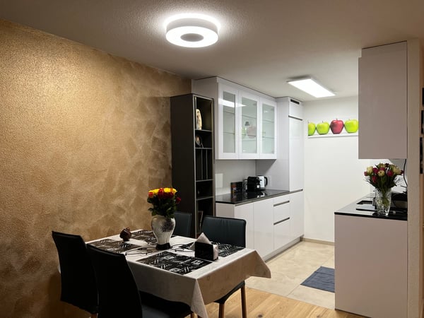🏡 1.5 Room Premium Apartment – Seebacherstrasse 64, 8052 Zürich (Zone 10) 23