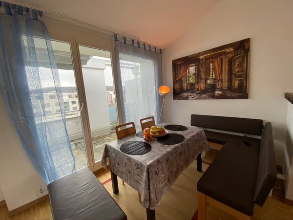 🏠 Modern 1.5 Zi Fully-Furnished Business Apartment at 8600 Dübendorf 11