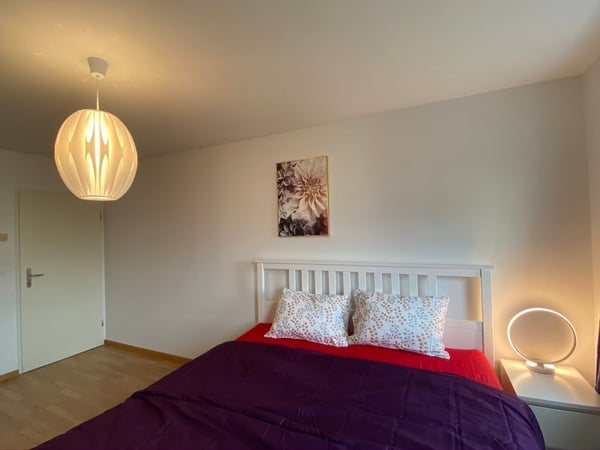 🏠 Modern 1.5 Zi Fully-Furnished Business Apartment at 8600 Dübendorf 8