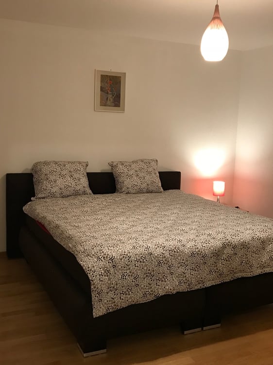🌟 Modern 1.5-Zi furnished Apartment in Glattbrugg – Near Zurich Airport & City Centre 4