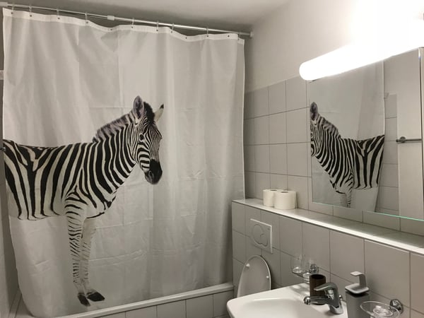 🌟 Modern 1.5-Zi furnished Apartment in Glattbrugg – Near Zurich Airport & City Centre 17