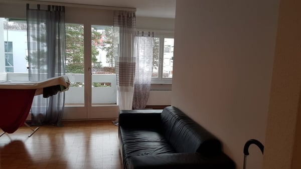 Modern & Bright 1.5-Room Apartment – Fully Furnished, Prime Adliswil Location 4
