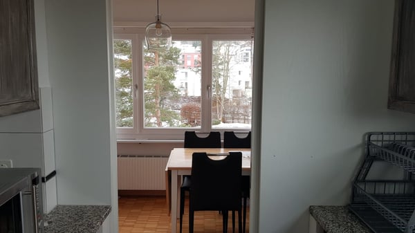 Modern & Bright 1.5-Room Apartment – Fully Furnished, Prime Adliswil Location 11