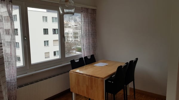 Modern & Bright 1.5-Room Apartment – Fully Furnished, Prime Adliswil Location 10