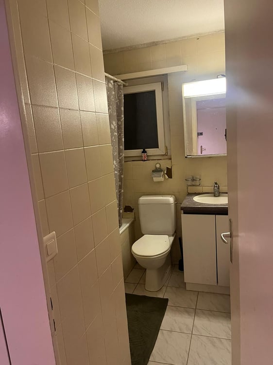 Modern & Bright 1.5-Room Apartment – Fully Furnished, Prime Adliswil Location 16