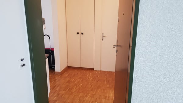 Modern & Bright 1.5-Room Apartment – Fully Furnished, Prime Adliswil Location 8