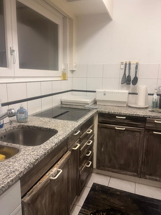 Modern & Bright 1.5-Room Apartment – Fully Furnished, Prime Adliswil Location 12