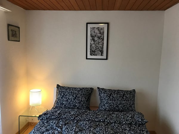 Modern 1.5-Room Furnished Apartment in Langnau am Albis – Ideal for Professionals 7