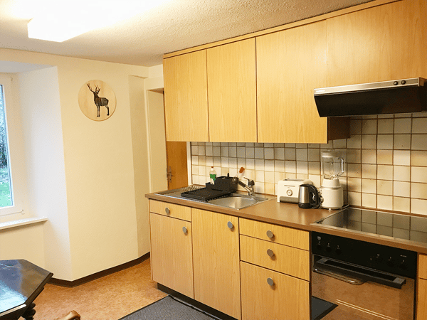 Modern 1.5-Room Furnished Apartment in Langnau am Albis – Ideal for Professionals 8
