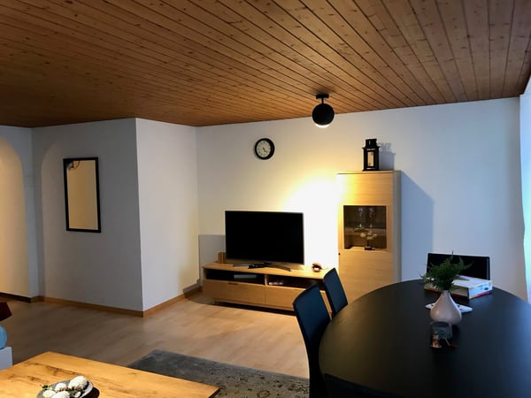 Modern 1.5-Room Furnished Apartment in Langnau am Albis – Ideal for Professionals 3