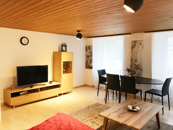 Modern 1.5-Room Furnished Apartment in Langnau am Albis – Ideal for Professionals 1
