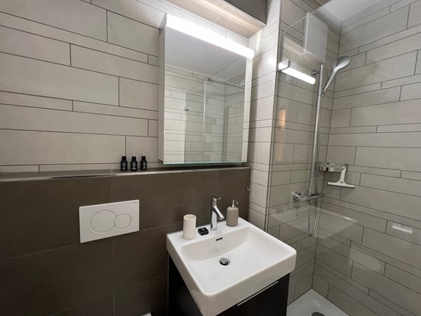 🏡 Fully Furnished Apartment City Connect Apartment – 2.5 zi Just 1 Min from Oerlikon Station 17