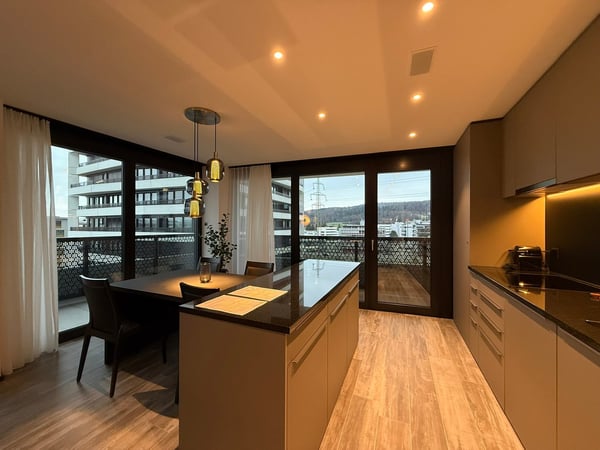 Modern 1.5-room apartment with balcony and panoramic views in Dübendorf 4