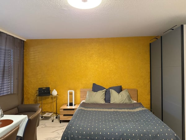 🏡 Stylish Studio Apartment close to Zurich City Centre | Fully Furnished 4