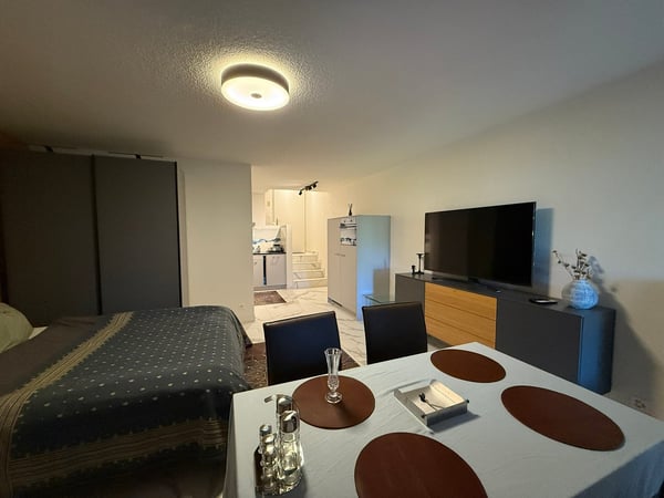 🏡 Stylish Studio Apartment close to Zurich City Centre | Fully Furnished 8