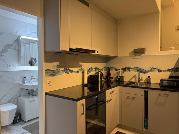 🏡 Stylish Studio Apartment close to Zurich City Centre | Fully Furnished 17