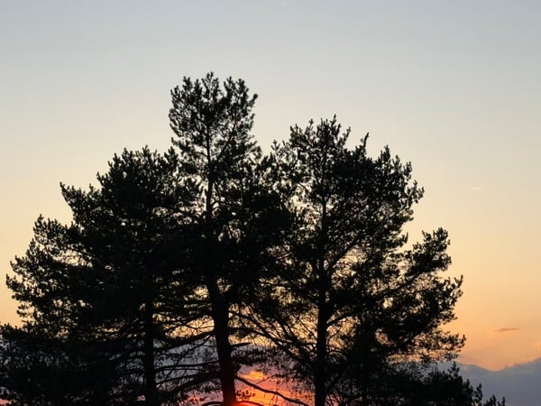 🏡 Stylish Studio Apartment close to Zurich City Centre | Fully Furnished 26