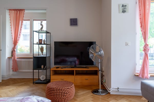 2.5 Room Furnished Business Apartment - 4 min From Basel SBB Station ; Few metres From Zoo Dorenbach 7