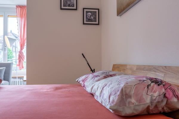 2.5 Room Furnished Business Apartment - 4 min From Basel SBB Station ; Few metres From Zoo Dorenbach 5