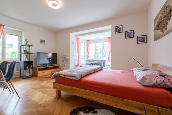 2.5 Room Furnished Business Apartment - 4 min From Basel SBB Station ; Few metres From Zoo Dorenbach 3