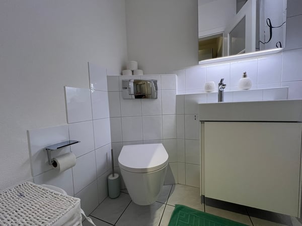 2.5 Room Furnished Business Apartment - 4 min From Basel SBB Station ; Few metres From Zoo Dorenbach 19