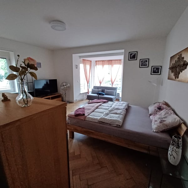 2.5 Room Furnished Business Apartment - 4 min From Basel SBB Station ; Few metres From Zoo Dorenbach 6