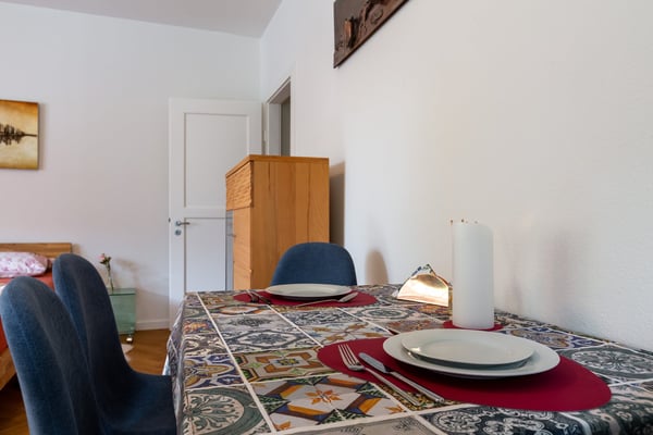 2.5 Room Furnished Business Apartment - 4 min From Basel SBB Station ; Few metres From Zoo Dorenbach 12