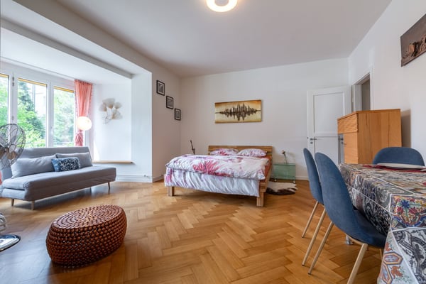 2.5 Room Furnished Business Apartment - 4 min From Basel SBB Station ; Few metres From Zoo Dorenbach 2