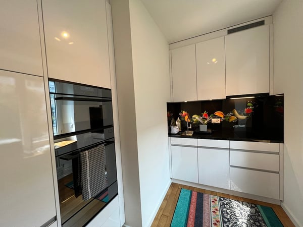 2.5 Room Furnished Business Apartment - 4 min From Basel SBB Station ; Few metres From Zoo Dorenbach 13