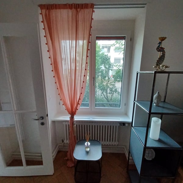 2.5 Room Furnished Business Apartment - 4 min From Basel SBB Station ; Few metres From Zoo Dorenbach 9