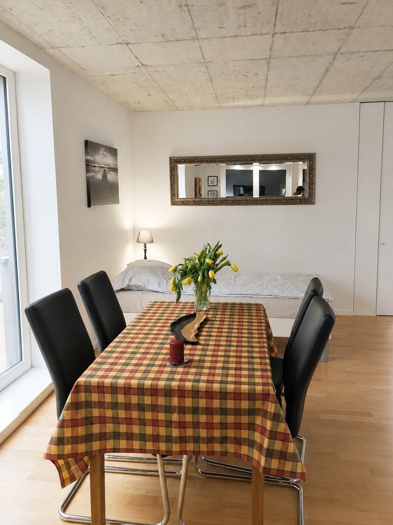 🏡✨ Fully Furnished 2-5 room Appartment for rent in Wallisellen (Melchrütistrasse 14) 9